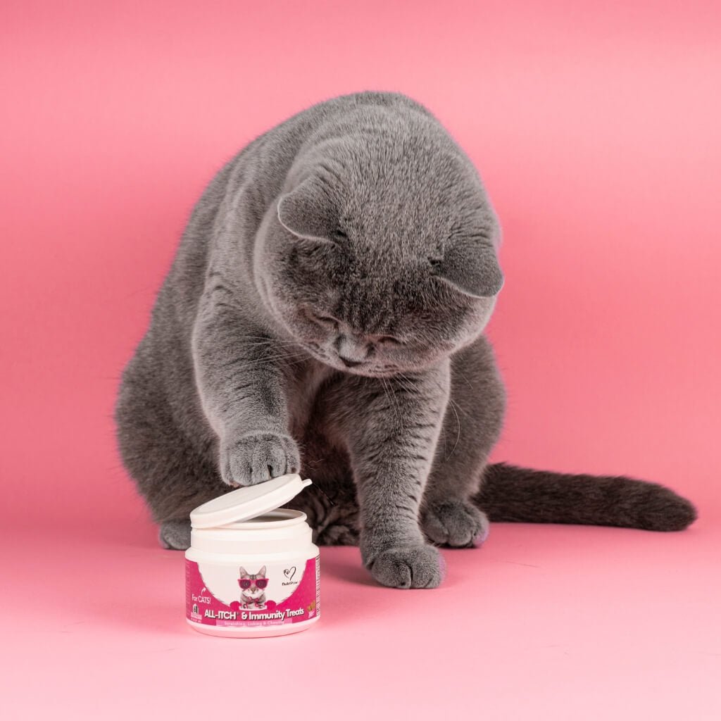 All-Itch Chews for Cats