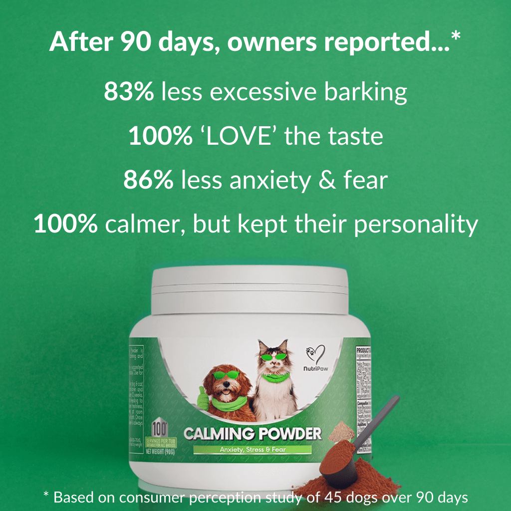 Build Your Calming Kit