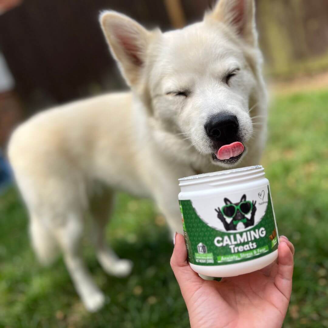 NutriPaw's #1 Kit