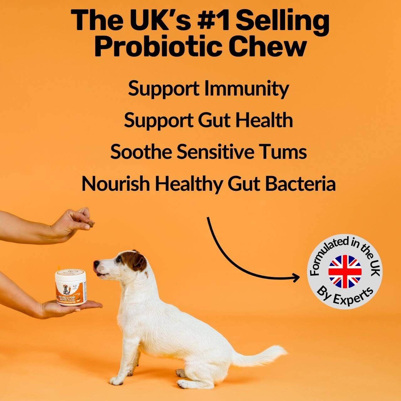 Pre, Pro & Postbiotic Digestive Treats