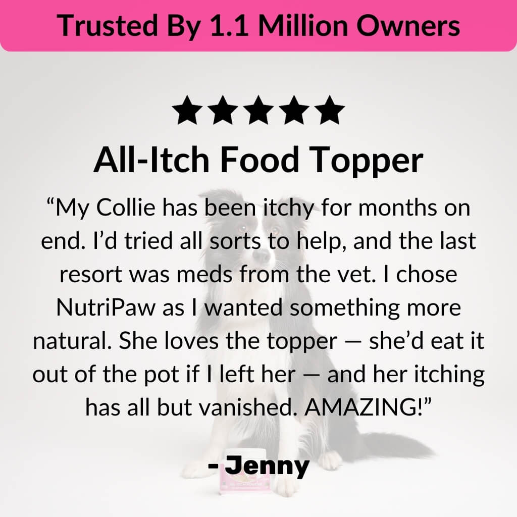 All-Itch Food Topper