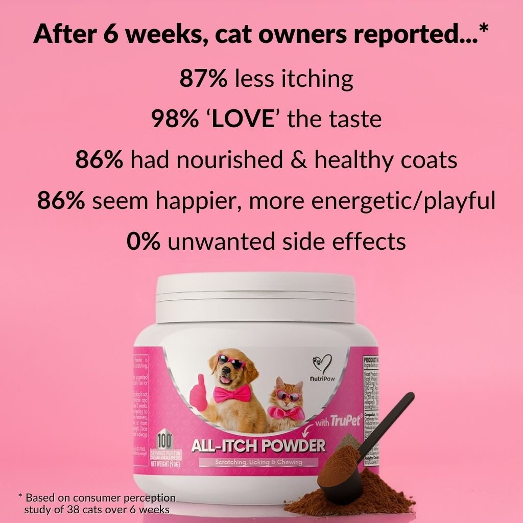 All-Itch Food Topper for Cats