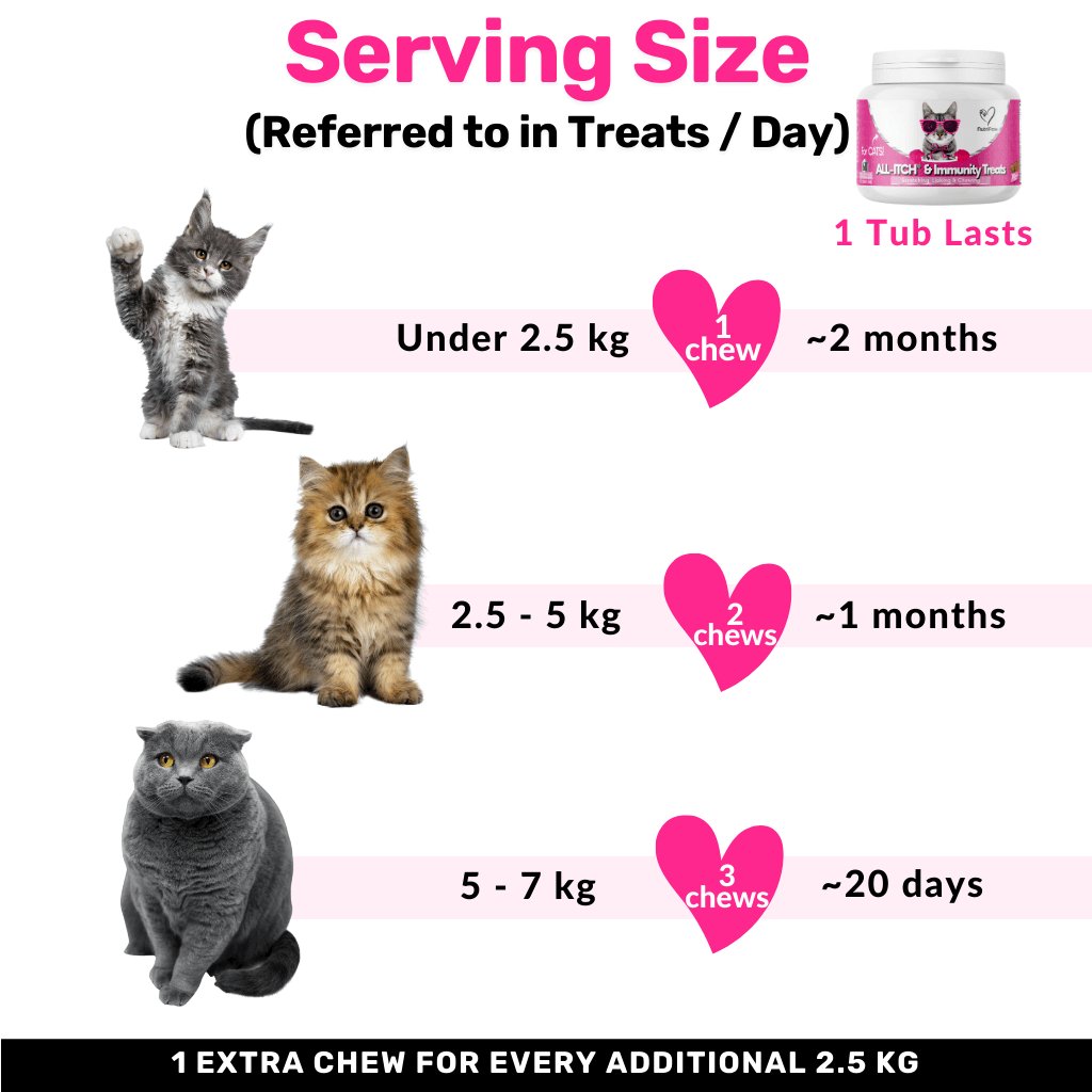 All-Itch Chews for Cats