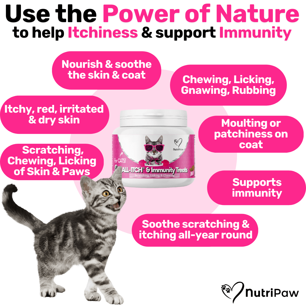 All-Itch Chews for Cats