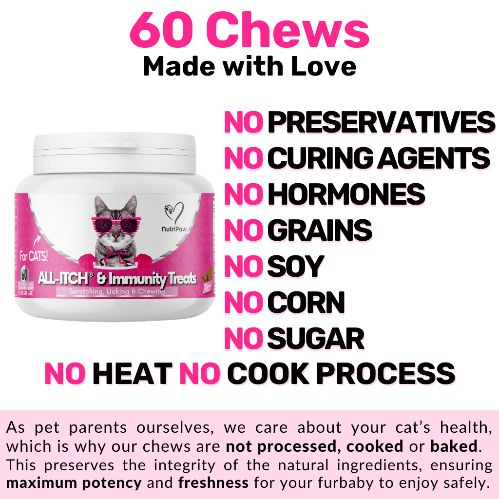 All-Itch Chews for Cats