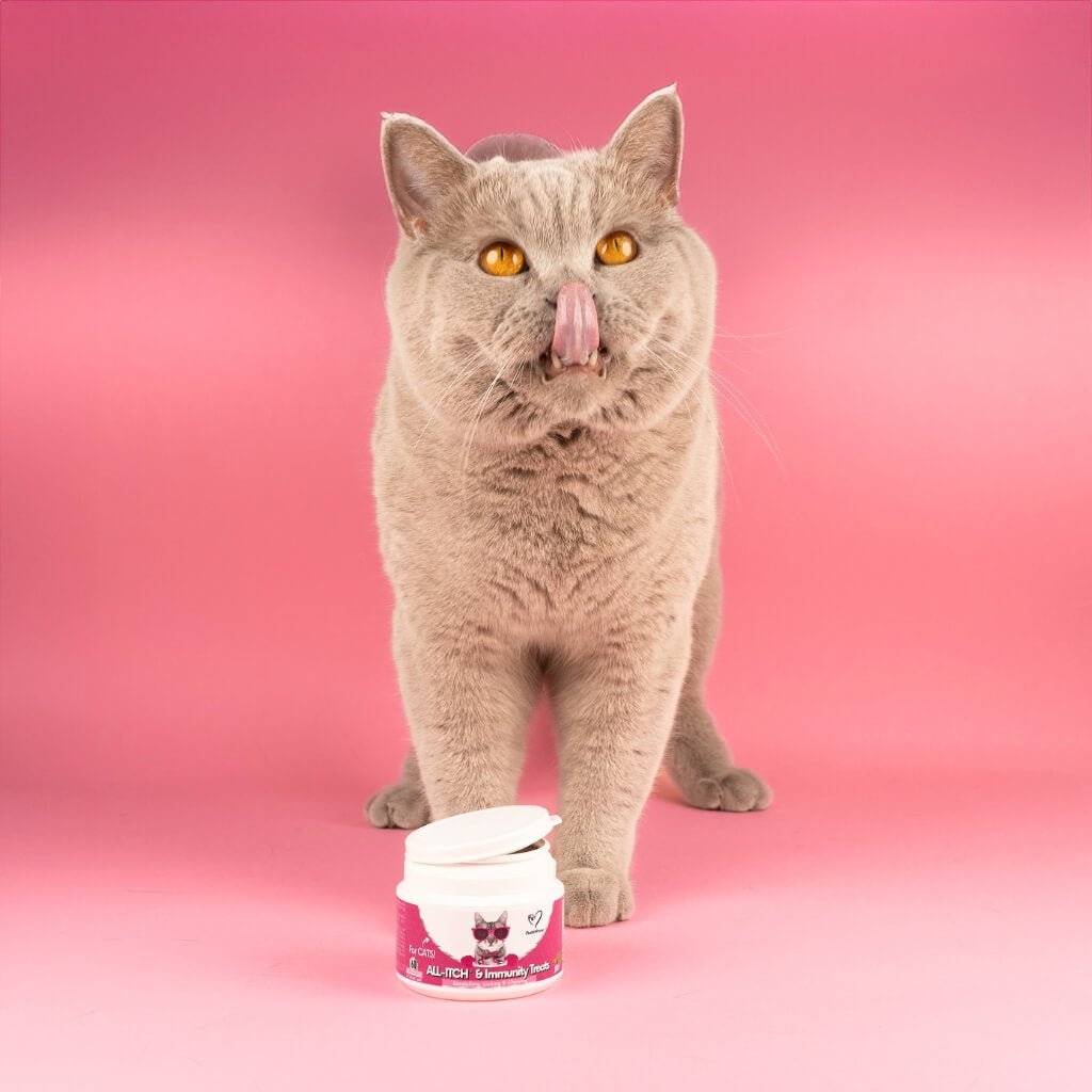 All-Itch Chews for Cats