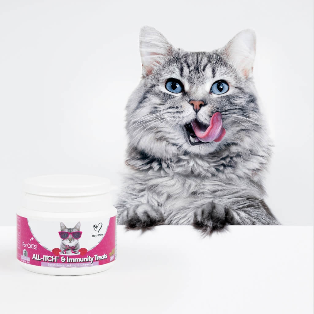 All-Itch Chews for Cats