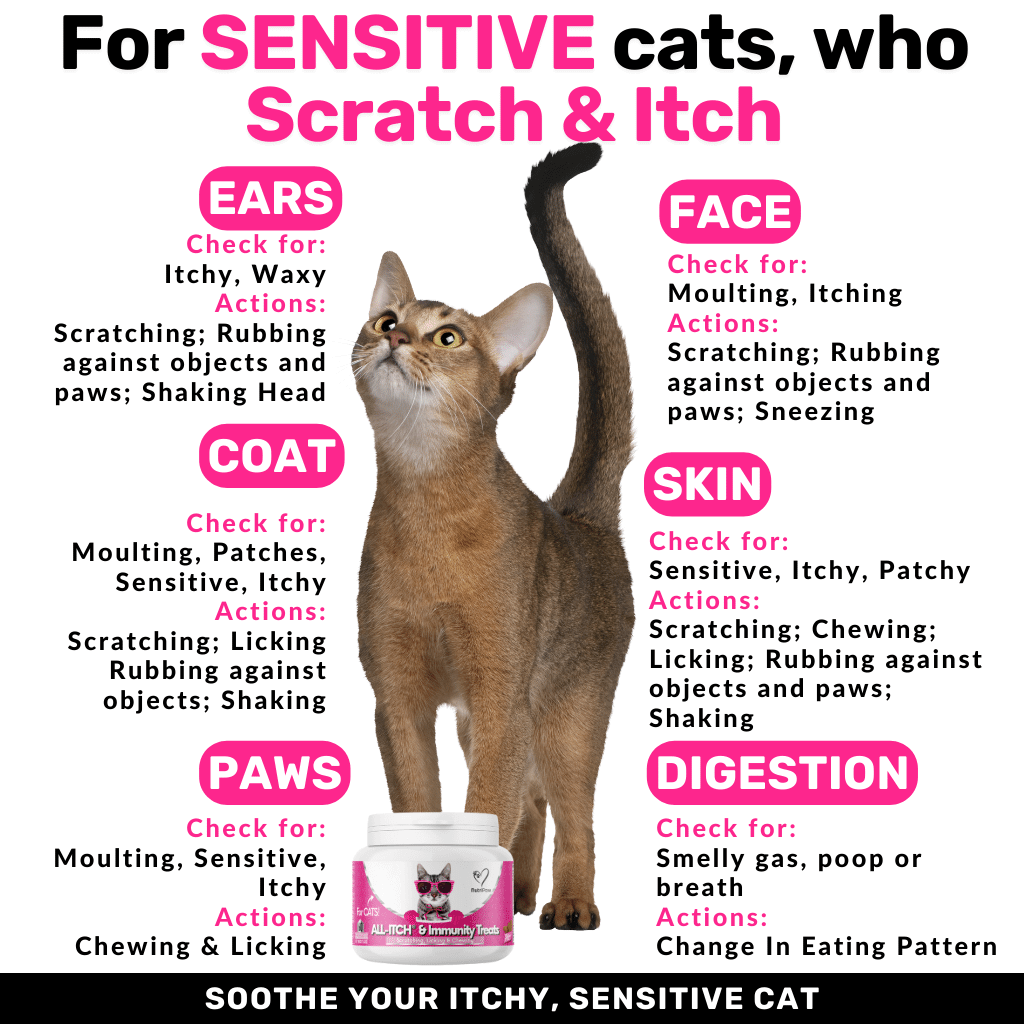 All-Itch Chews for Cats