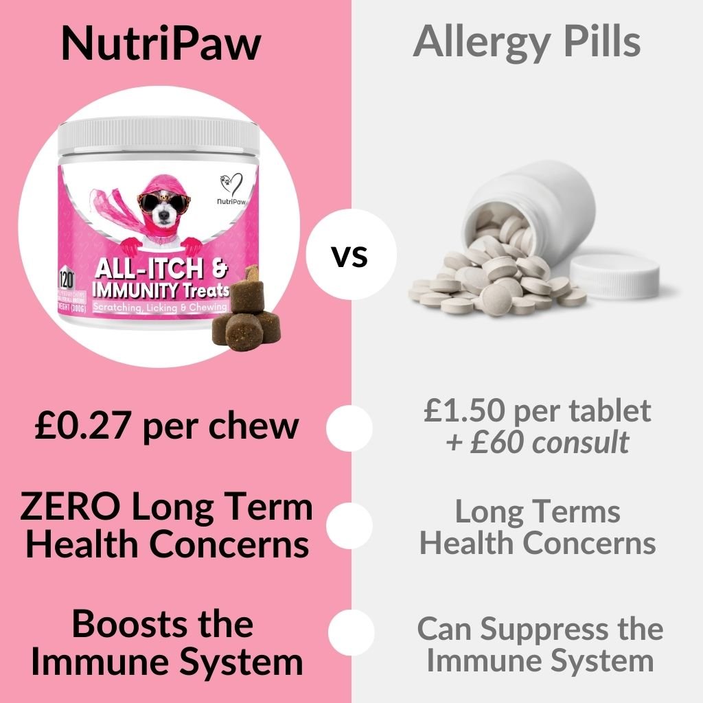 All-Itch & Immunity Treats