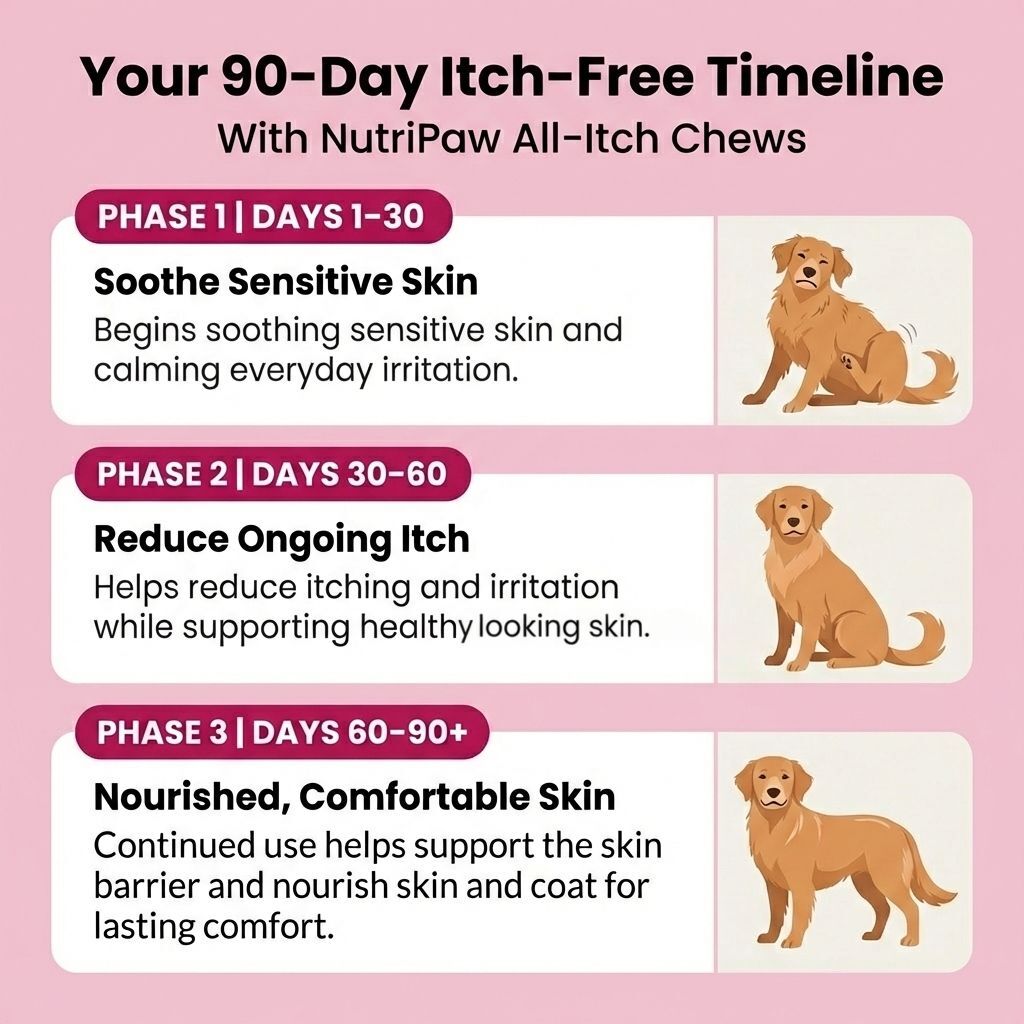 All-Itch Treats - Allergy & Immunity (10oz)