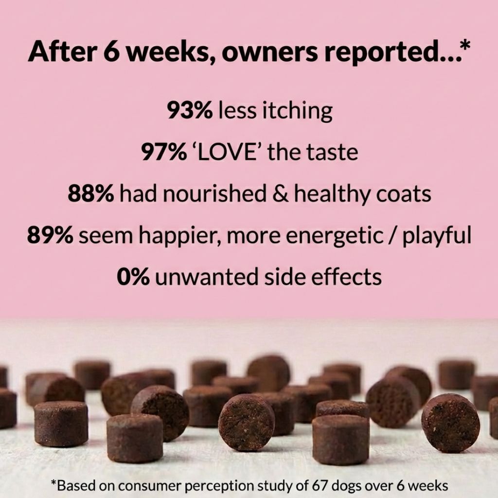 All-Itch Treats - Allergy & Immunity (10oz)