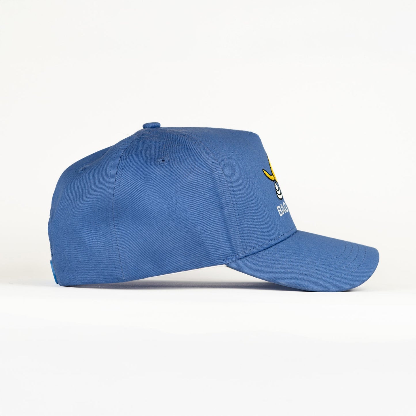 Bag It, Bin it Hat