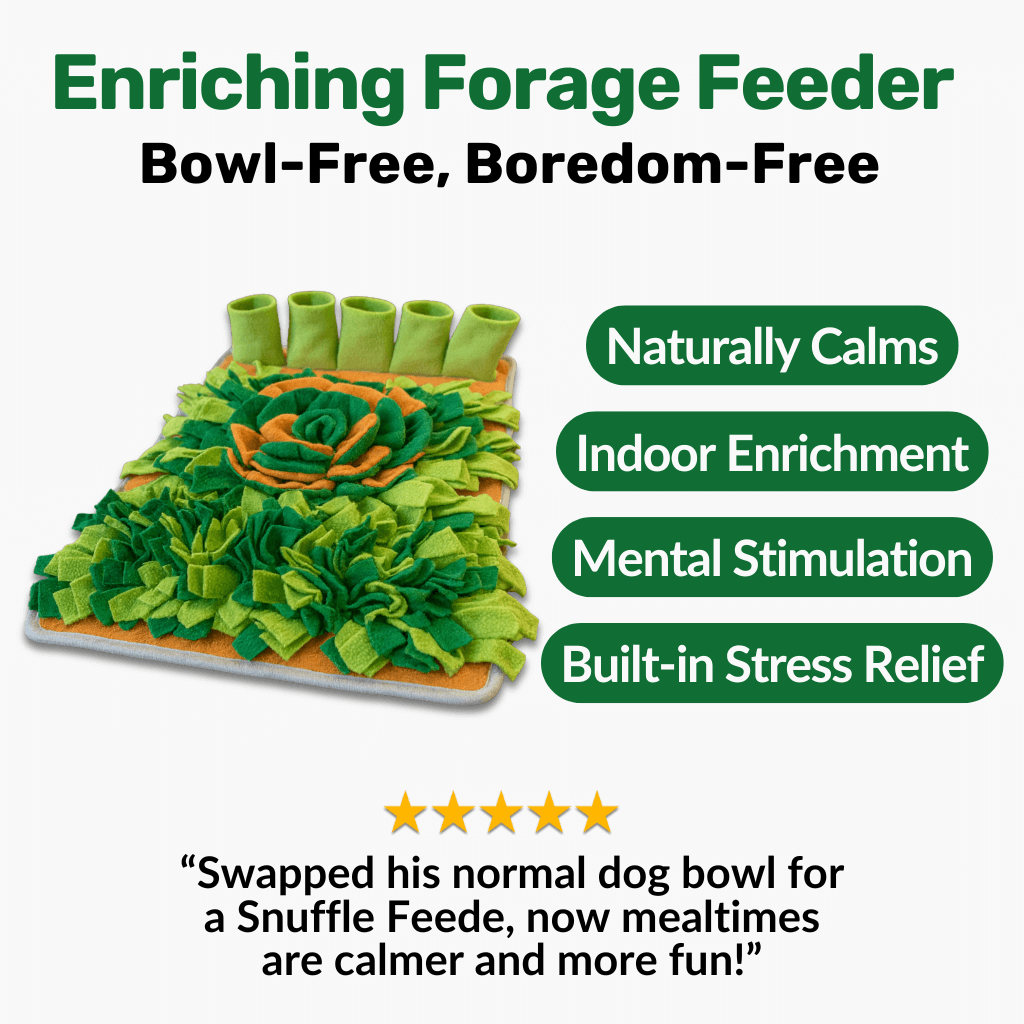 Build Your Calming Kit