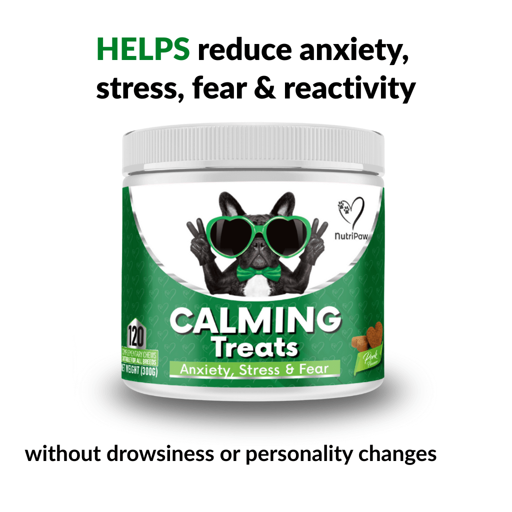 Build Your Calming Kit