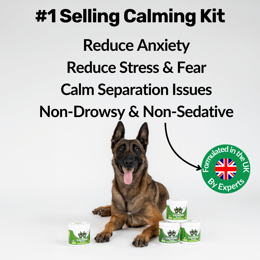 Build Your Calming Kit