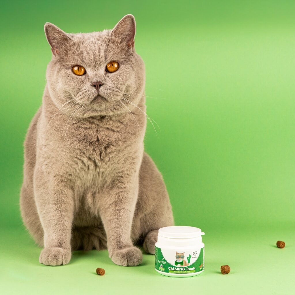 Calming Chew for Cats