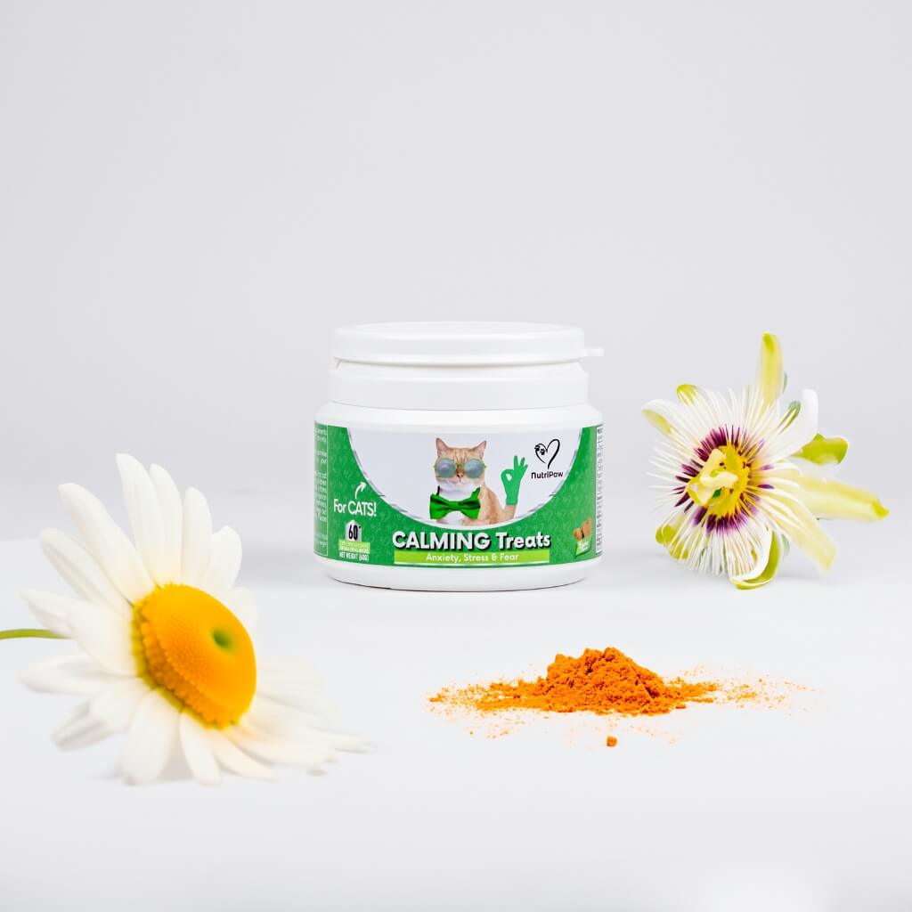 Calming Chew for Cats