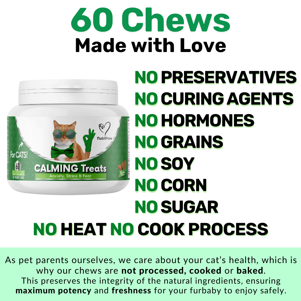 Calming Chew for Cats