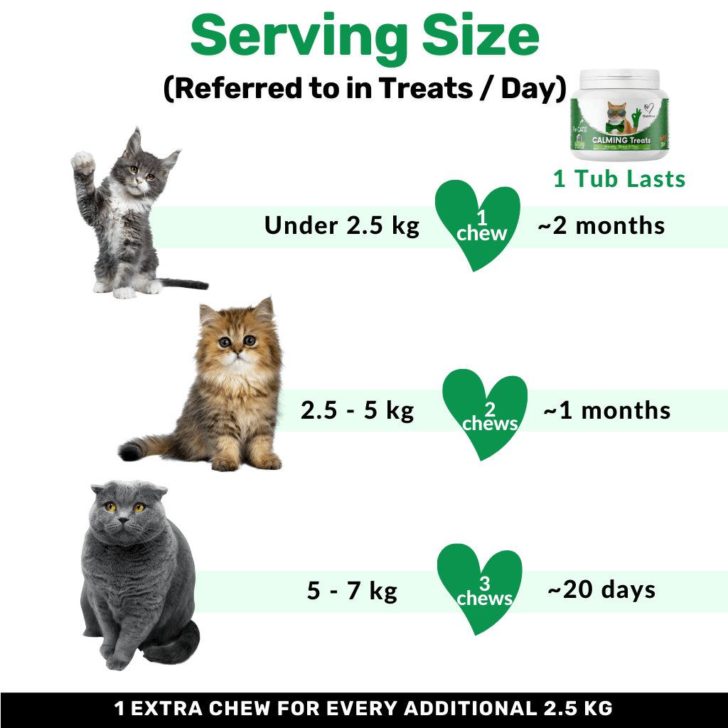 Calming Chew for Cats