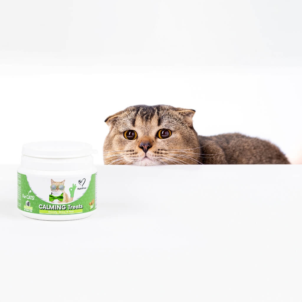 Calming Chew for Cats