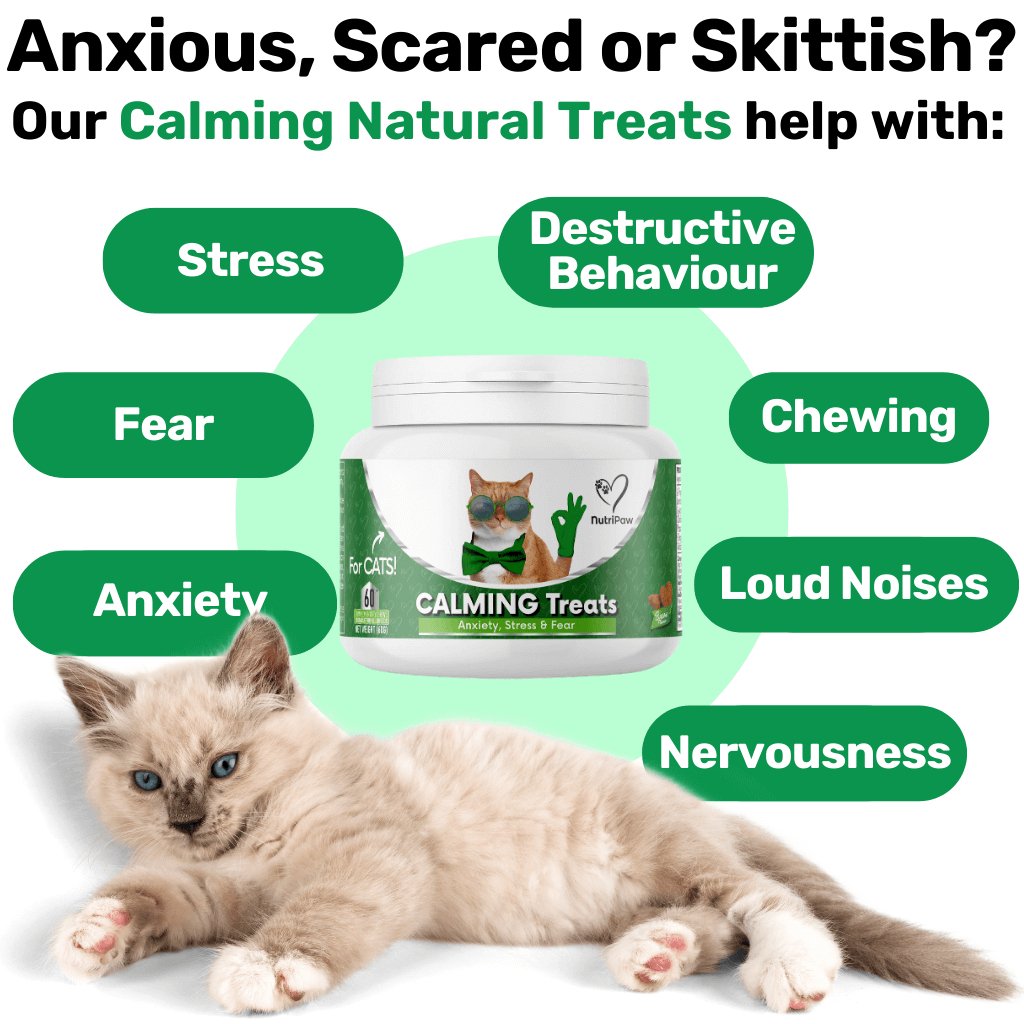 Calming Chew for Cats