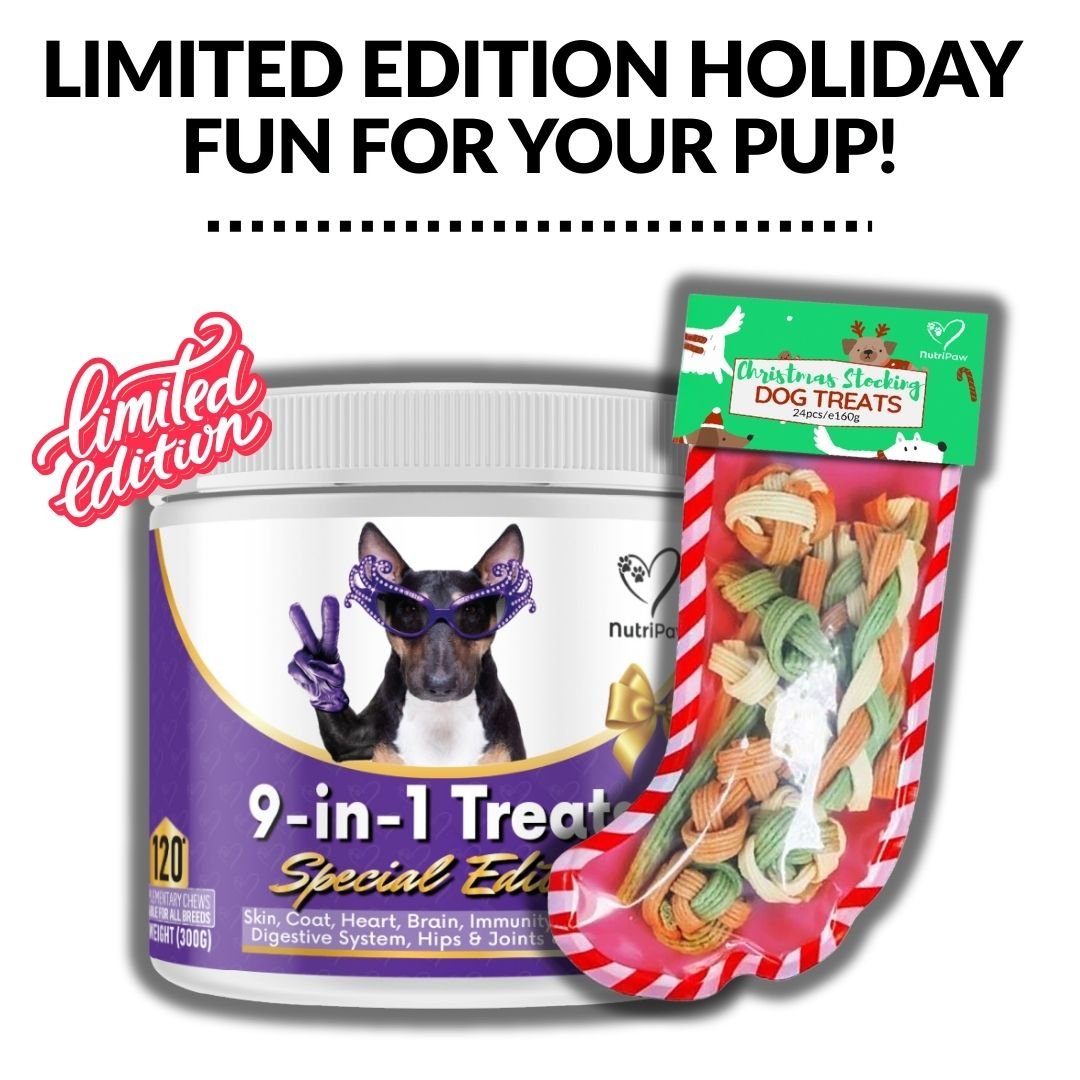 Christmas Special Bundle