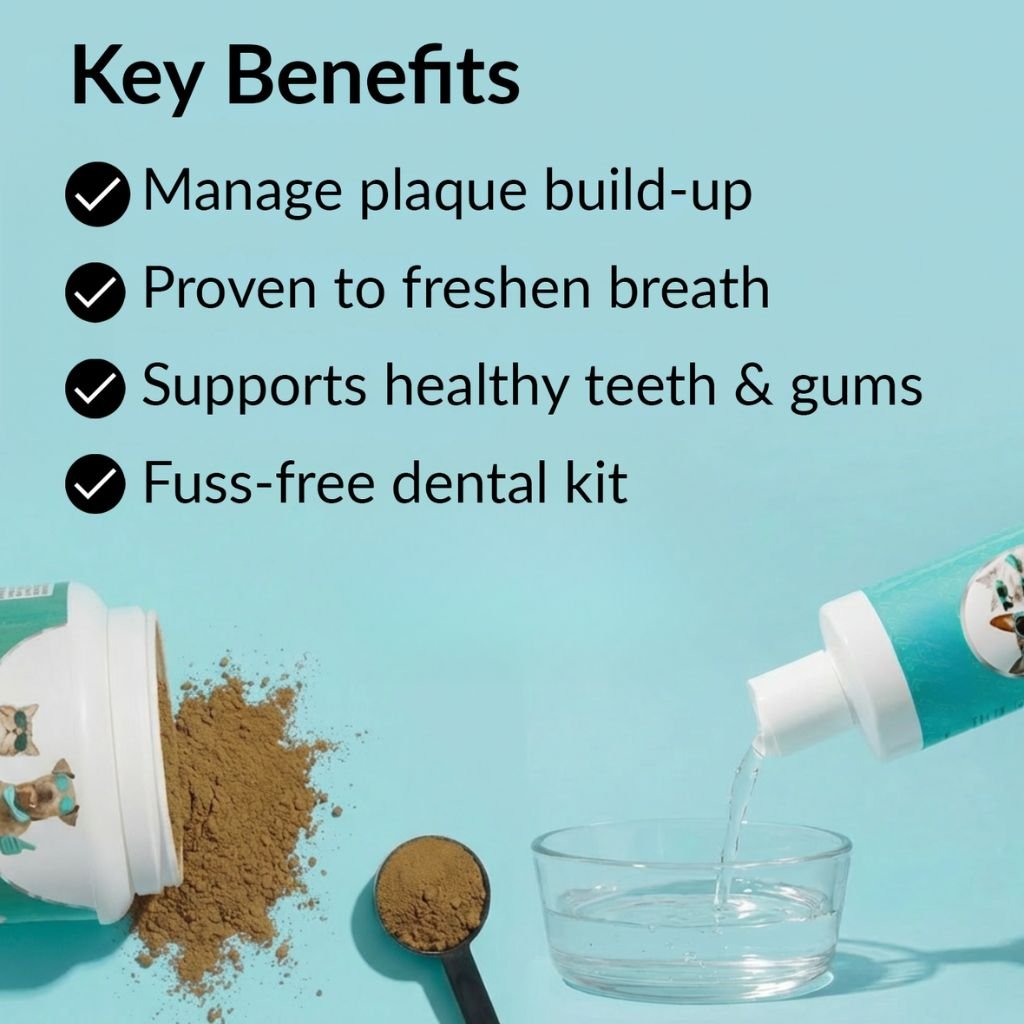 Dental Kit
