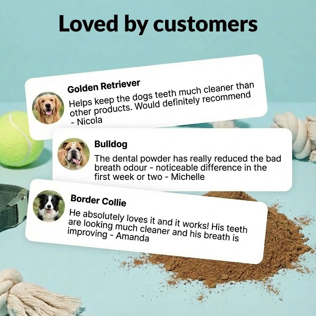 Dental Powder