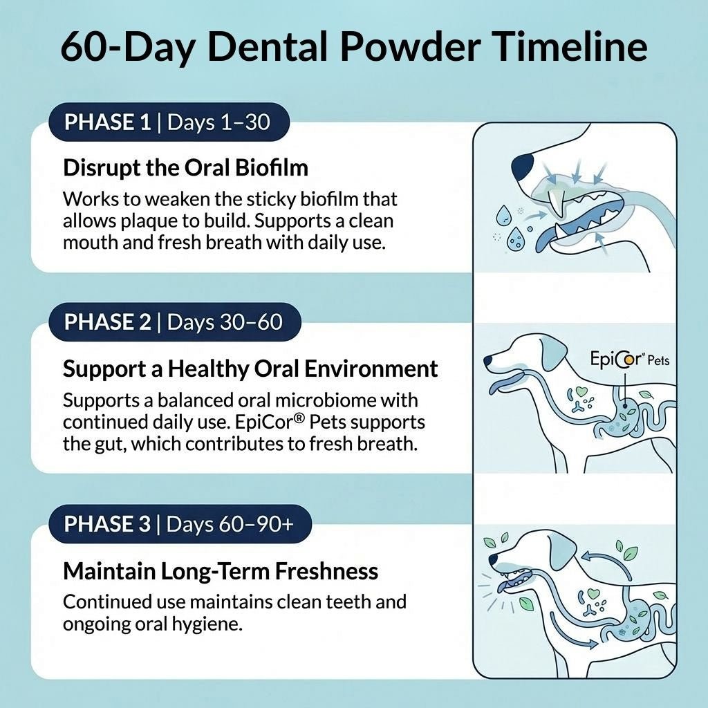 Dental Powder - image 4