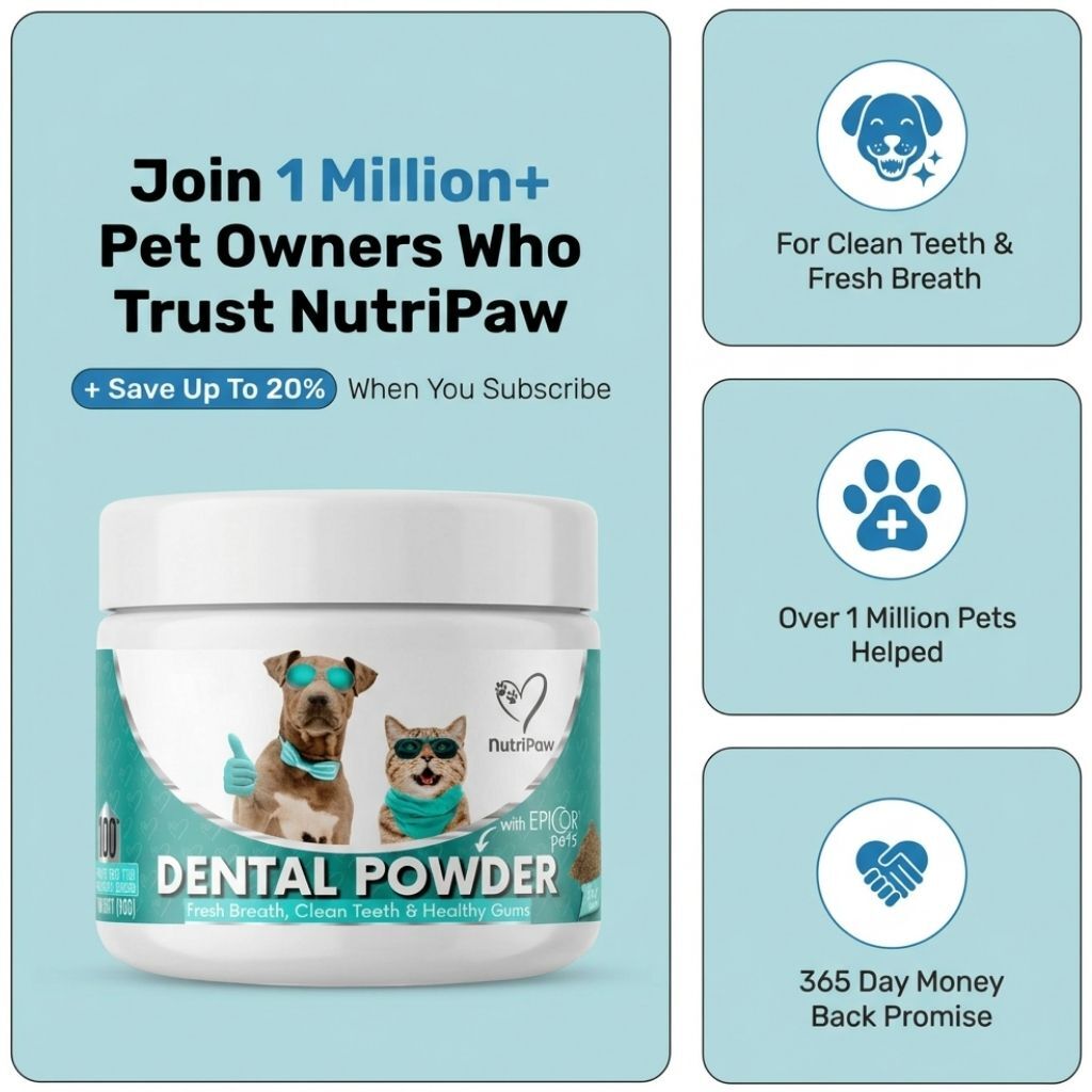 Dental Powder - image 11