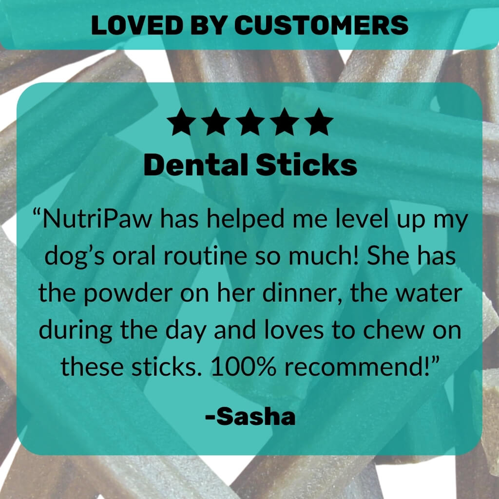Dental Sticks