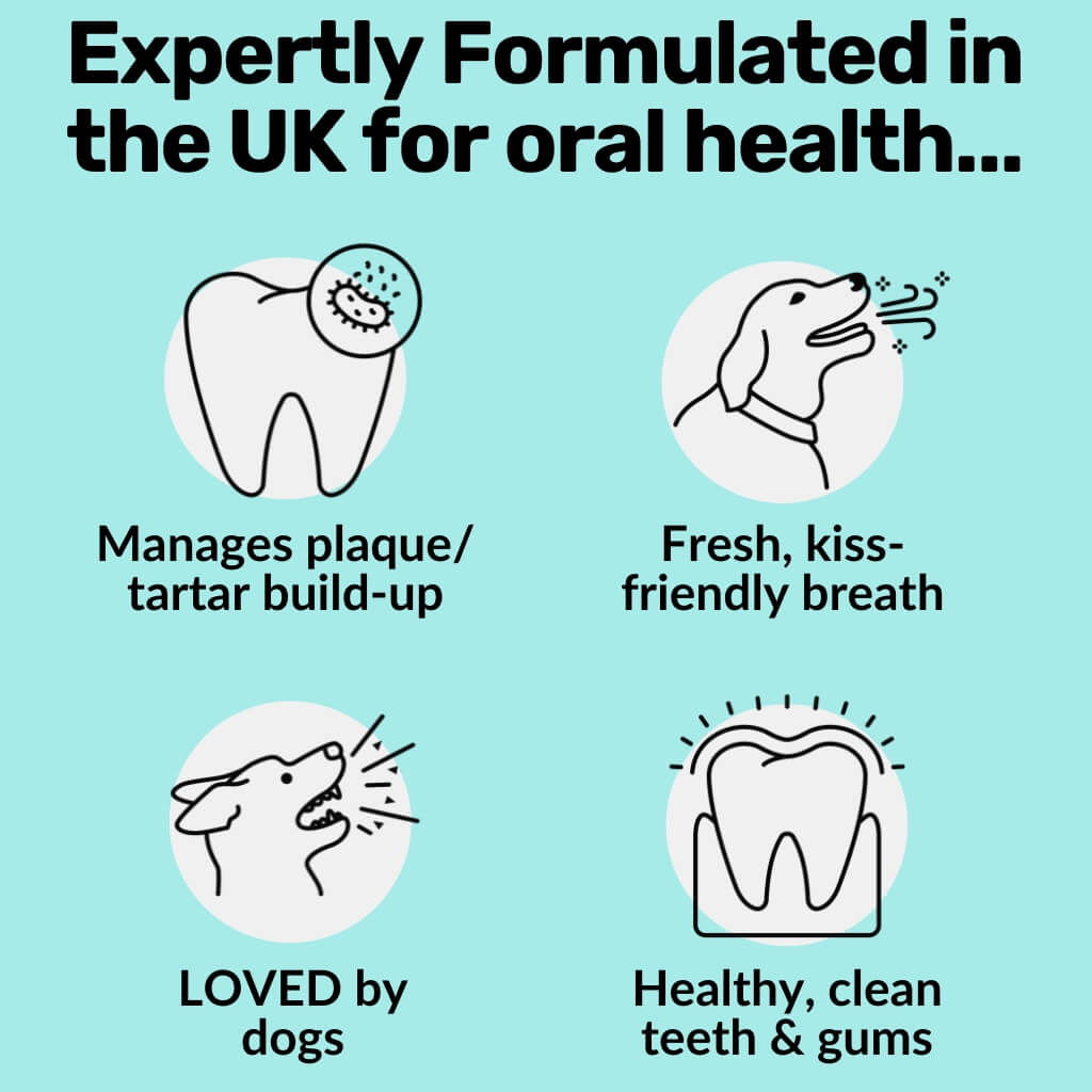 Dental Sticks