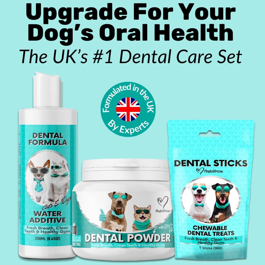 Dental Sticks