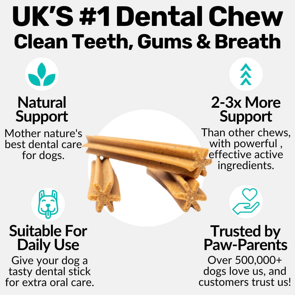 Dental Sticks