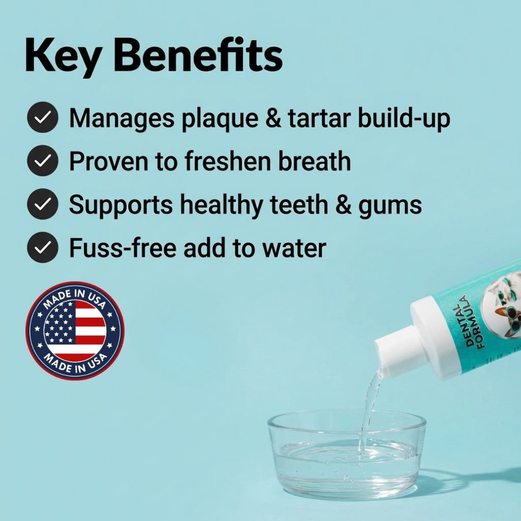 Dental Water - USA Made (10oz)