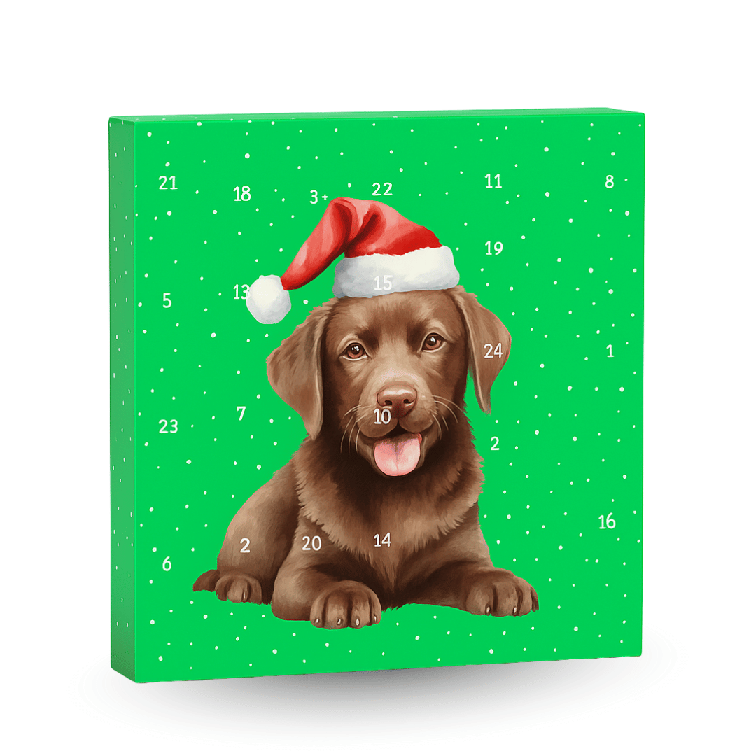 Dog Advent Calendar