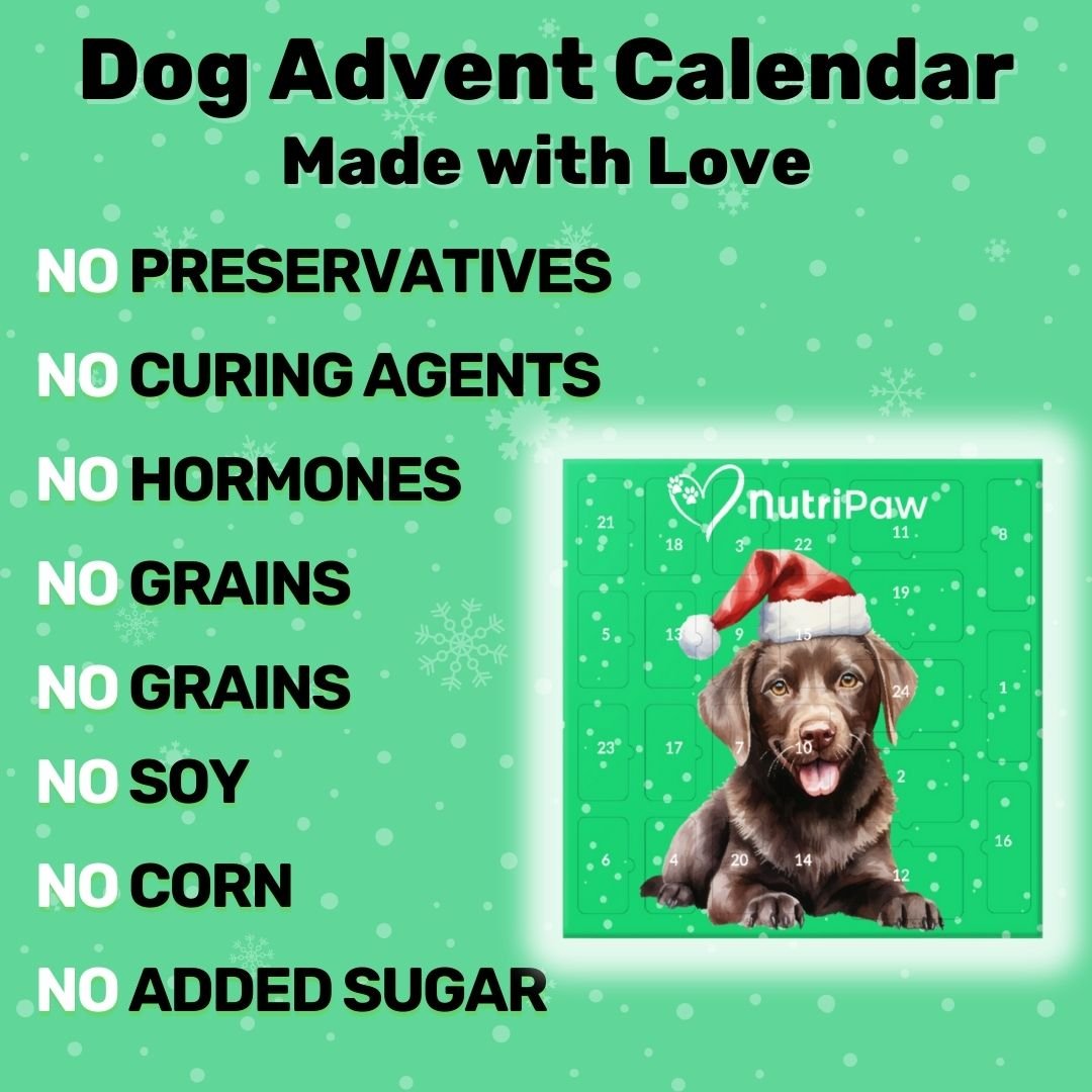 Dog Advent Calendar