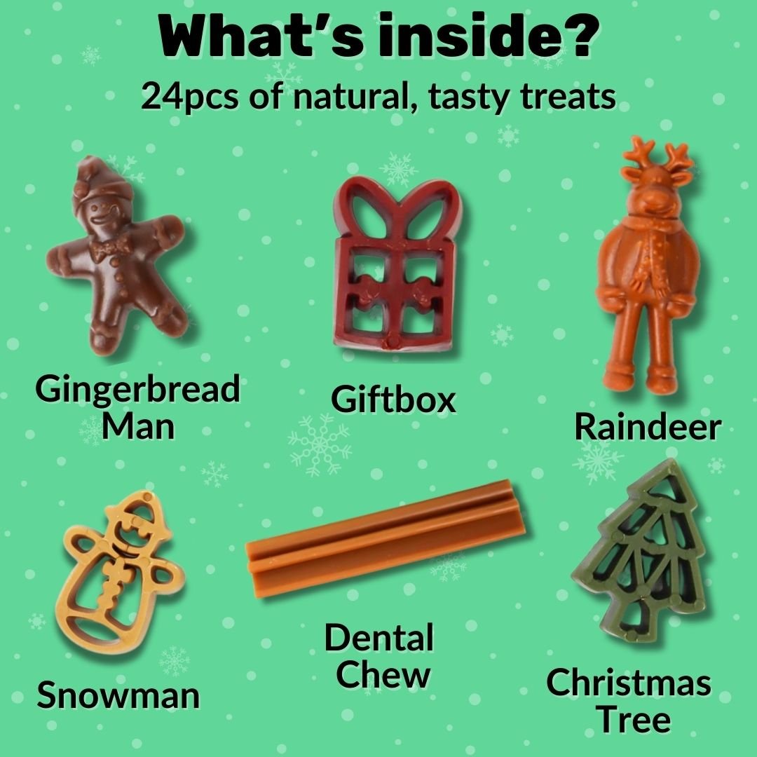 Dog Advent Calendar