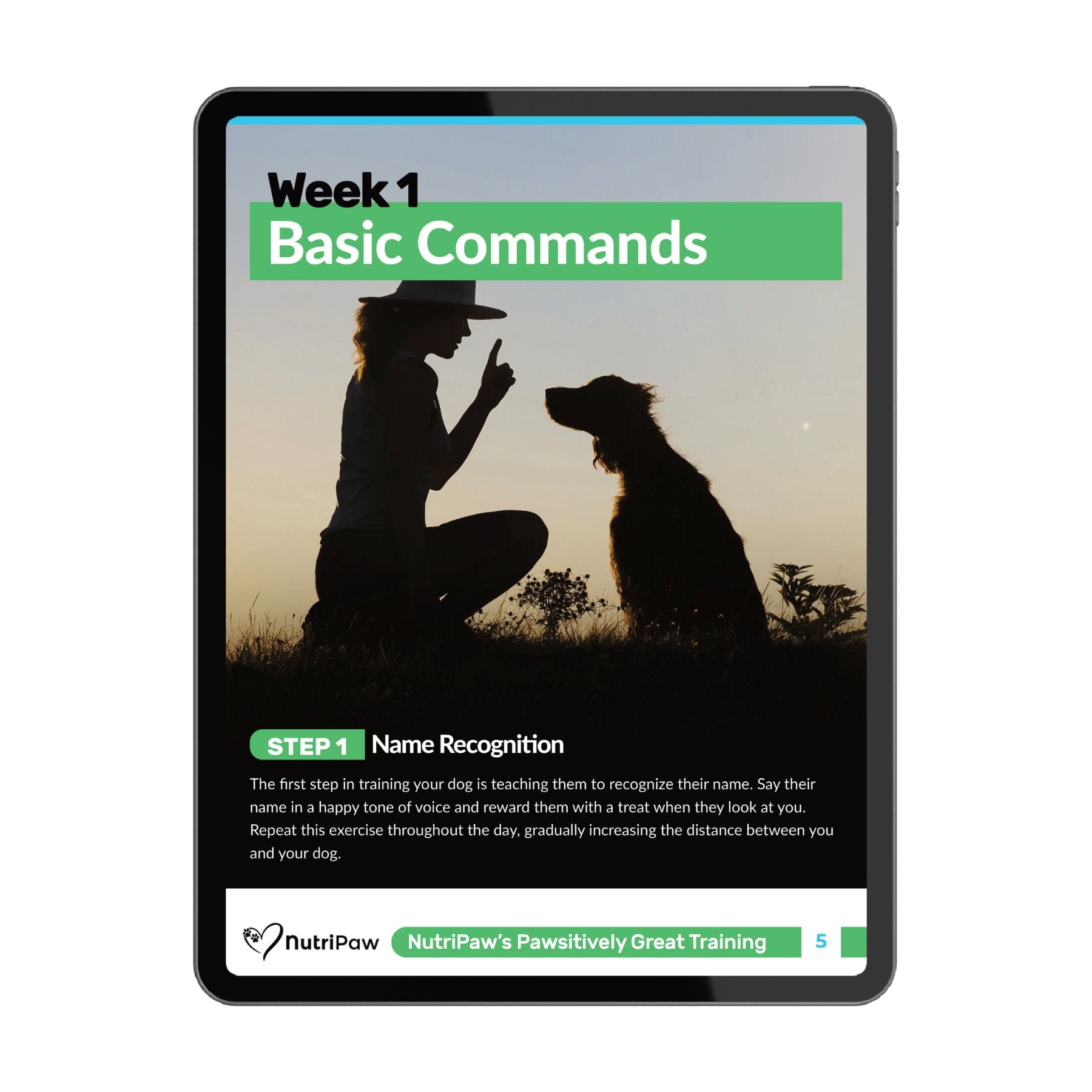 Dog Training Program