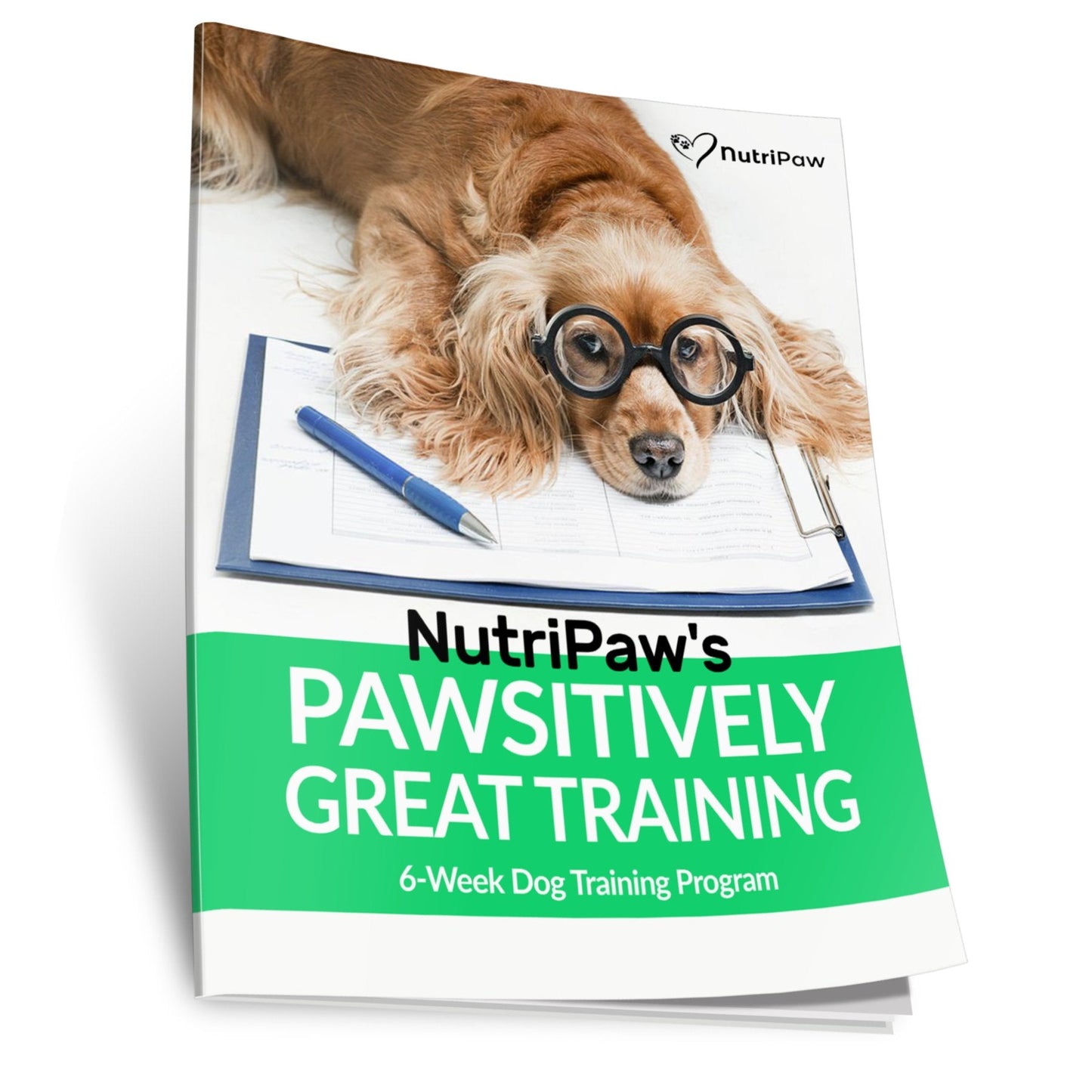 Dog Training Program
