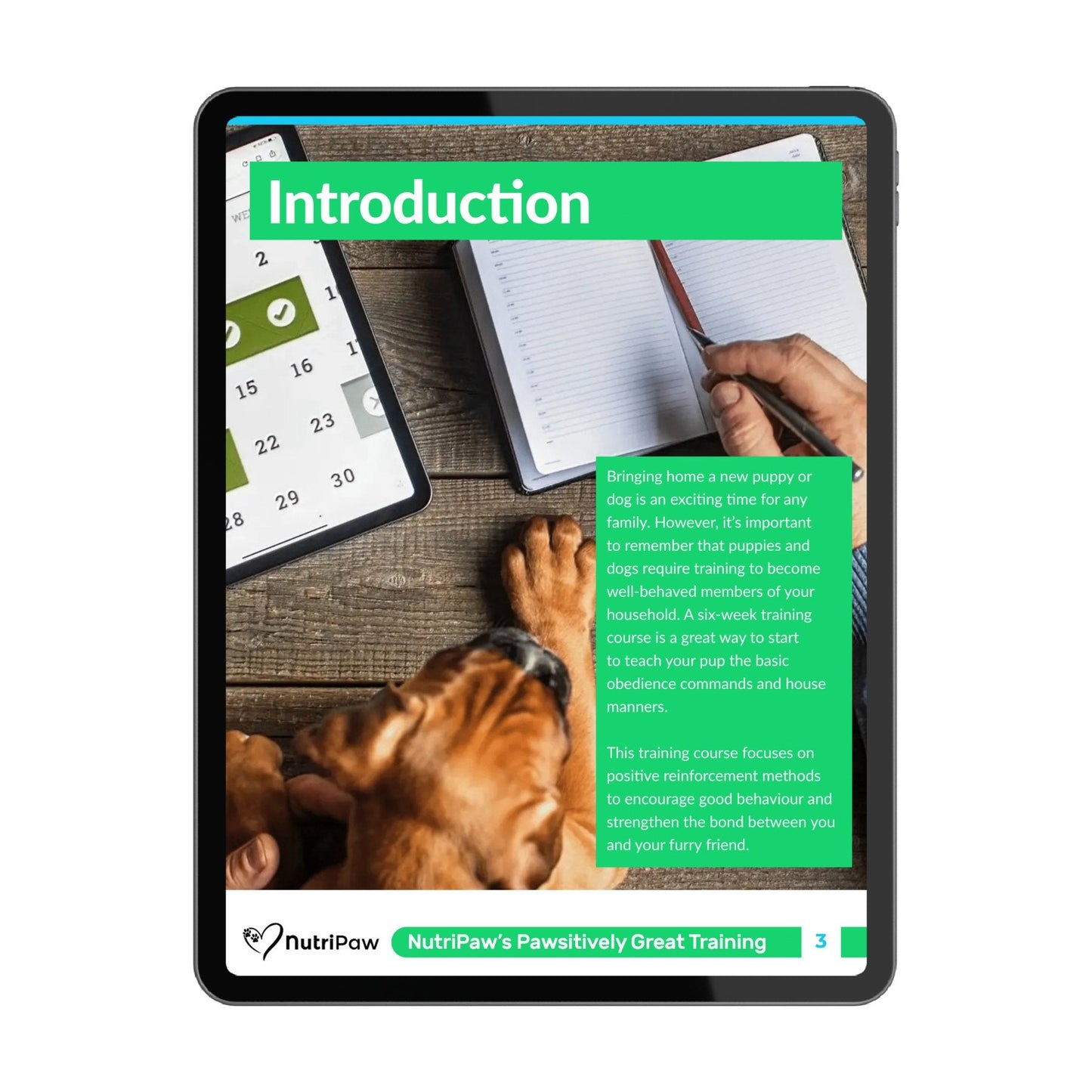 Dog Training Program