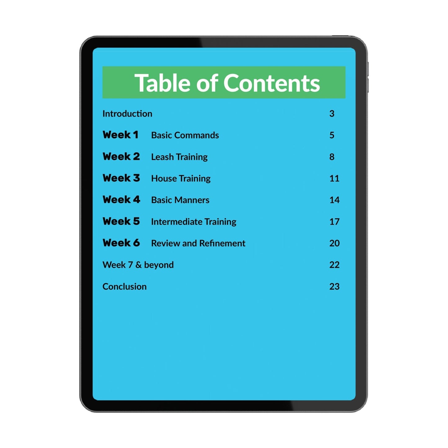 Dog Training Program