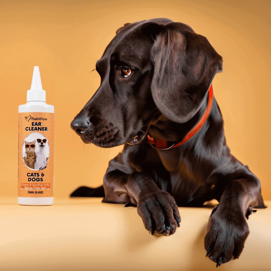 Ear Cleaner