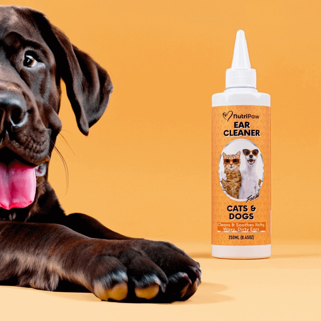 Ear Cleaner