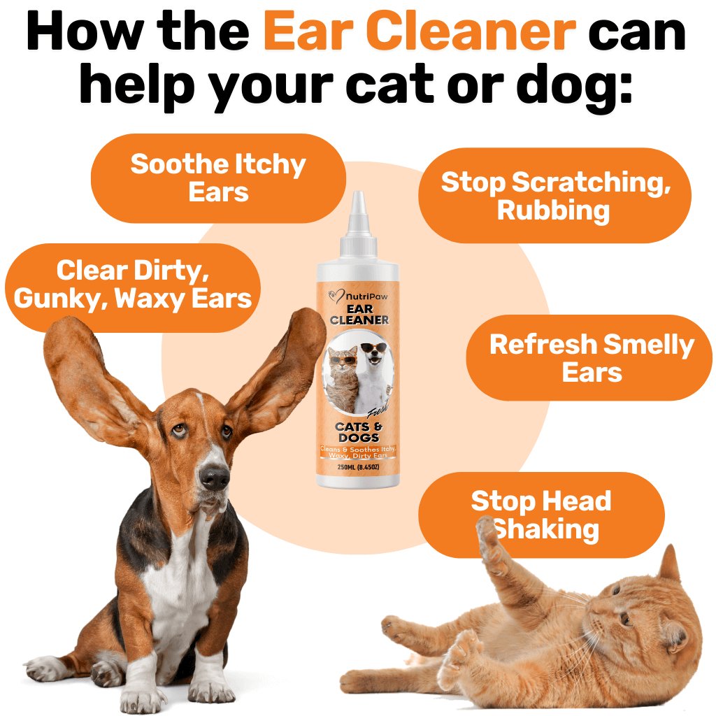 Ear Cleaner