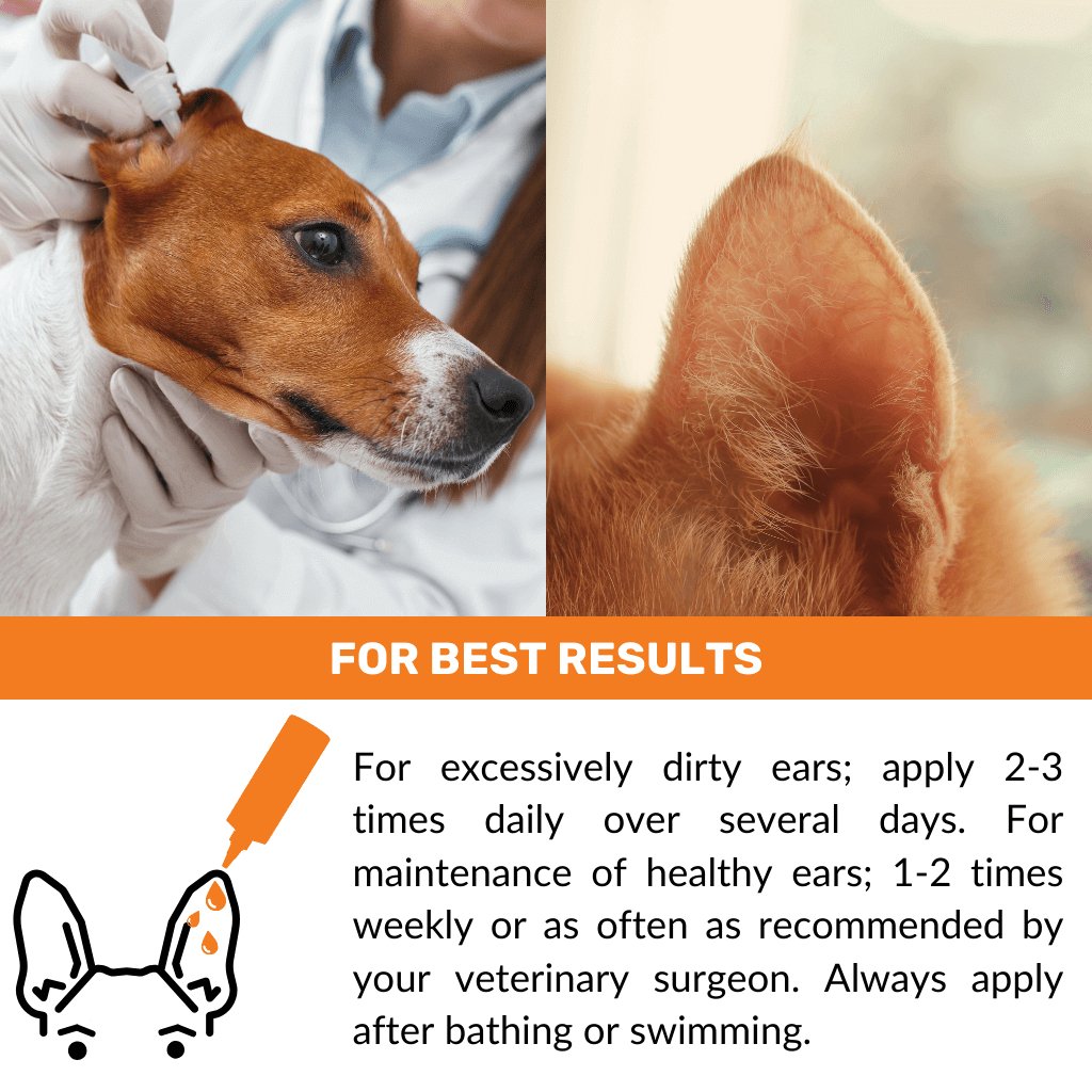 Ear Cleaner