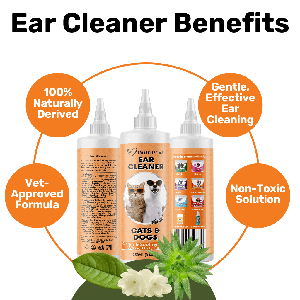 Ear Cleaner