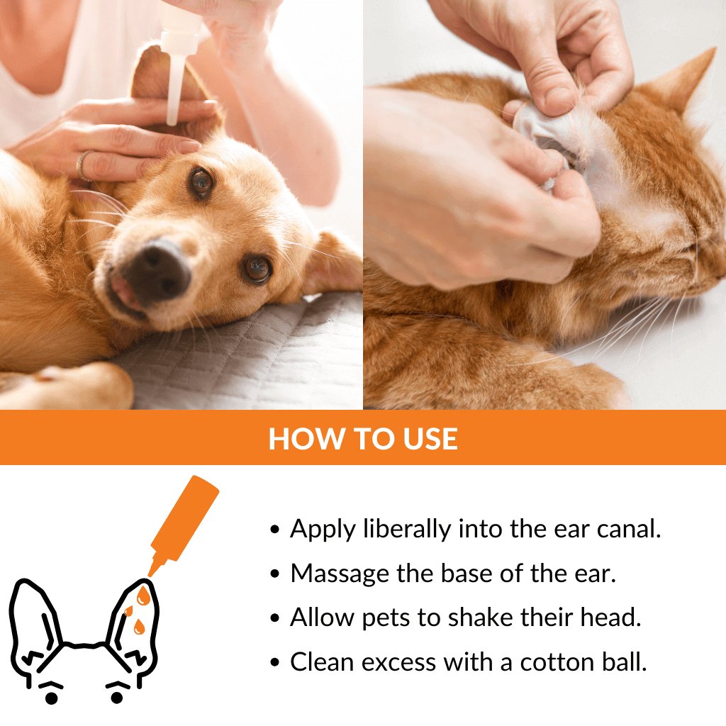 Ear Cleaner