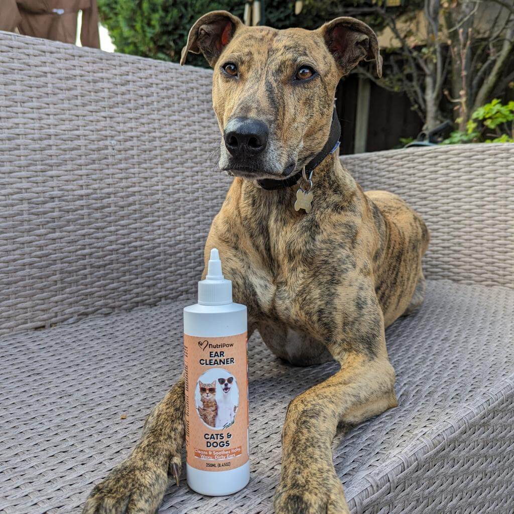 Ear Cleaner