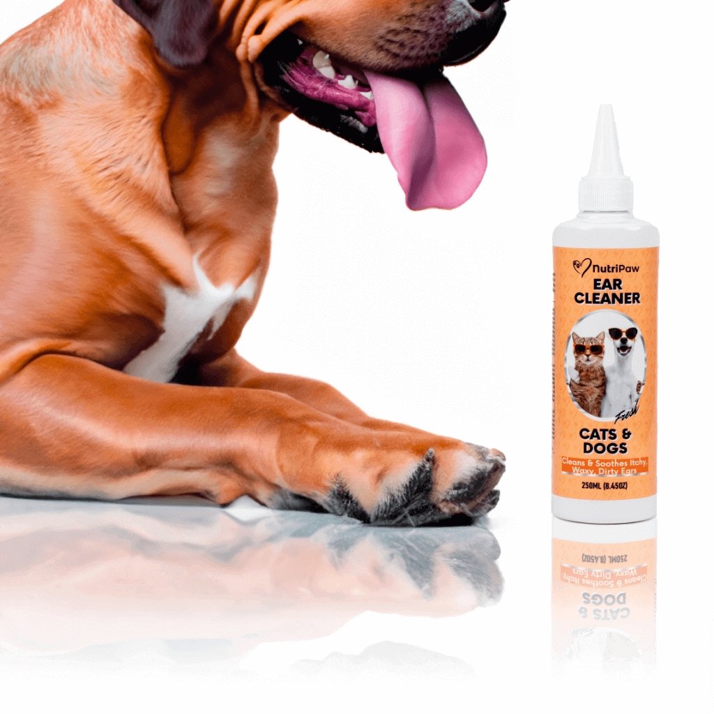 Ear Cleaner